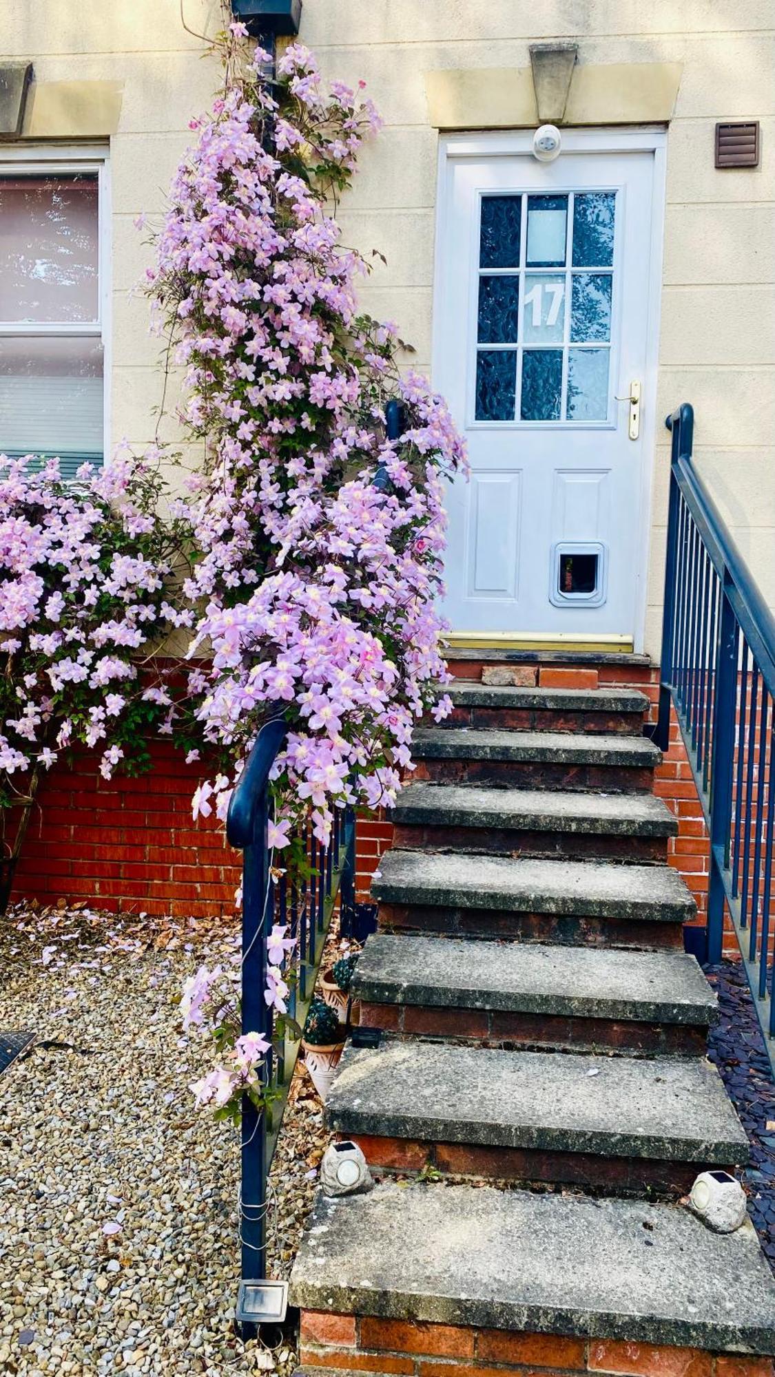 Modern Ground Floor Apartment With Free Parking Very Near Centre Ripon Exterior foto